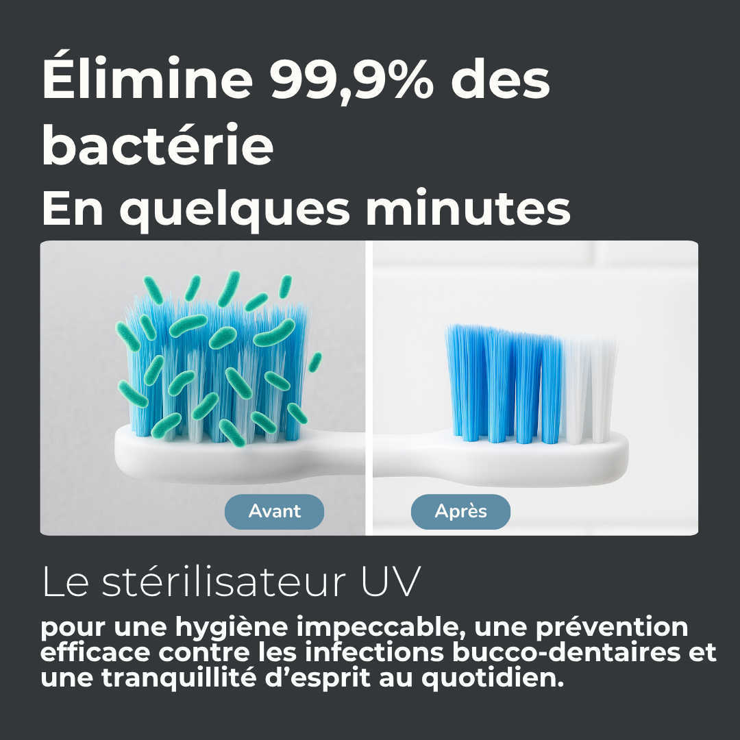 Stérilisateur UV Brosse à Dents